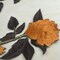 2 Pieces Brown Camel Embroidery Rose Patch Applique Iron On for DIY Projects
